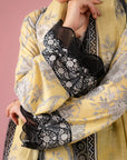 Comfortable embroidered linen 2 piece dress with organza border – perfect pick in Lahore PIA Society clothing outlets