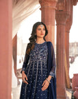 2 Piece Embroidered Chiffon Suit Pret SS - 25