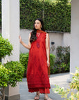 3 Piece Printed Embroidered Dobby Suit