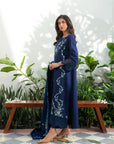 3 Piece Embroidered Linen Suit Pret Fall - 25