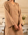 2 Piece Embroidered Raw Silk Suit Pret Winter - 25