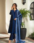 3 Piece Embroidered Karandi Suit