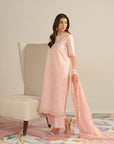 3 Piece Embroidered Lawn Suit