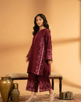 2 Piece Embroidered Khaddar Suit