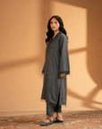 2 Piece Embroidered Suit