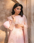 3 Piece Embroidered Organza Suit Pret SS - 25