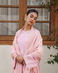 3 Piece Embroidered Raw Silk Suit Pret SS - 25