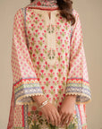 3 Piece Printed Lawn Suit Pret SS - 25