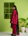 3 Piece Printed Khaddar Suit
