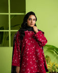 3 Piece Printed Khaddar Suit