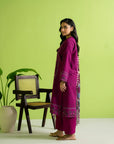 3 Piece Printed Khaddar Suit
