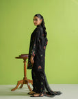 3 Piece Printed Khaddar Suit