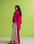 3 Piece Printed Khaddar Suit