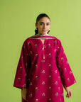 3 Piece Printed Khaddar Suit
