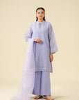 3 Piece Embroidered Badla Suit Pret SS - 25