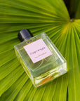 Flamingo Fragrance
