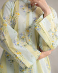 2 Piece Printed Lawn Suit Pret SS - 25