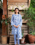 3 Piece Printed Lawn Suit Beena