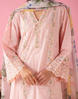 3 Piece Embroidered Lawn Suit Pret SS - 25