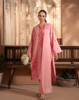 2 Piece Khaddar Suit Pret Winter-24