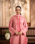 2 Piece Khaddar Suit Pret Winter-24