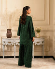 Elegant embroidered Raw Silk Suit design for ladies – 2 piece Pakistani outfit