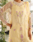 Elegant organza fabric suits in Pakistan with tiered hem