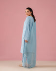 Elegant raw silk suit with embroidery perfect for festive wear