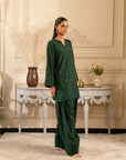 Trendy Pakistani Raw Silk Suit design with embroidery – 2 piece set