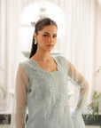 Women organza dresses - mint green embroidered suit set with sheer organza dupatta