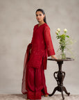 embroidered cotton net fabric suit