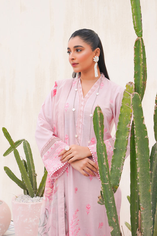 Pale Blush (3PC)