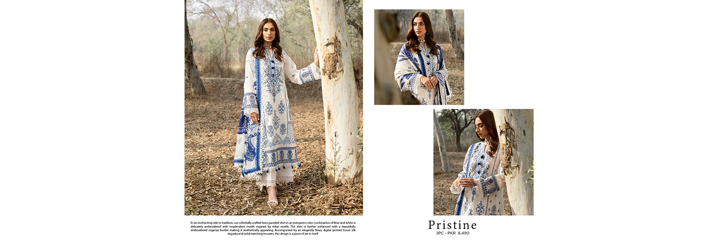 Slideshow Image 2