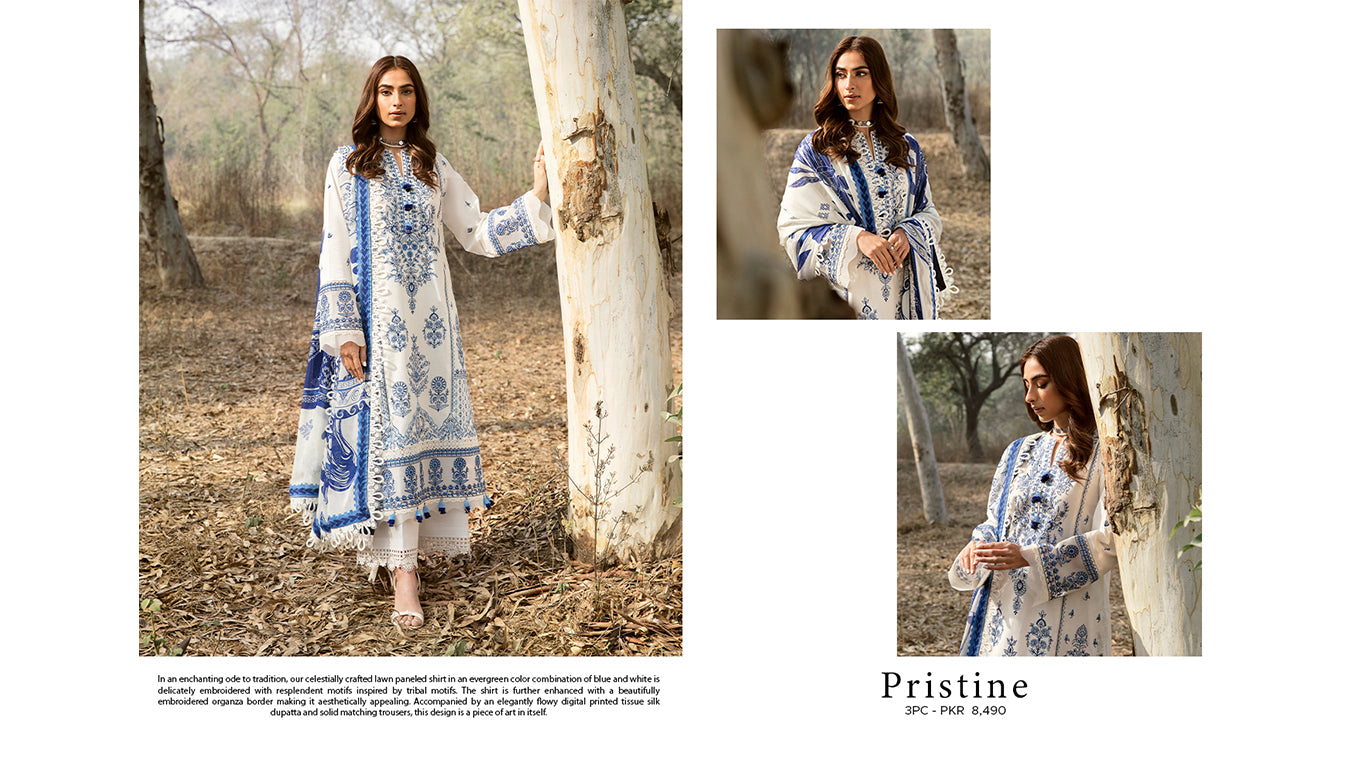 Slideshow Image 2
