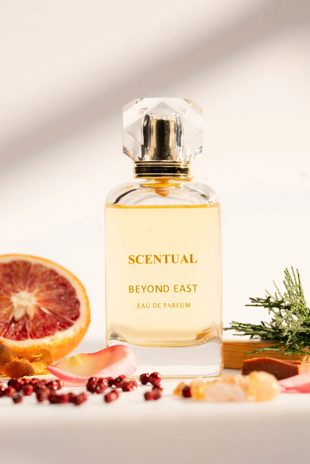 Scentual Fragrance
