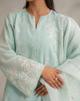 Chic and traditional embroidered raw silk suit – top choice in ladies raw silk suits