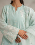 Chic and traditional embroidered raw silk suit – top choice in ladies raw silk suits