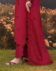 A person outdoors wearing a deep red embroidered kurta and matching pants, standing on grass with flowers blurred in the background. The kurta has lace trim and floral embroidery.