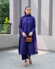 3 Piece Printed Embroidered Dobby Suit