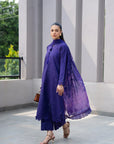 3 Piece Printed Embroidered Dobby Suit