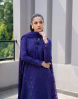 3 Piece Printed Embroidered Dobby Suit
