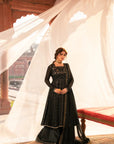 3 Piece Embroidered Chiffon Suit Pret SS - 25