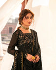 3 Piece Embroidered Chiffon Suit Pret SS - 25