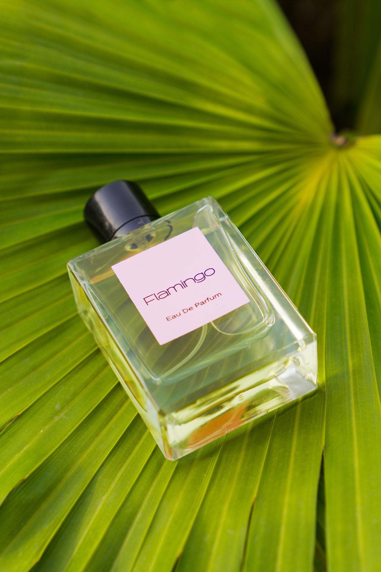 Flamingo Fragrance