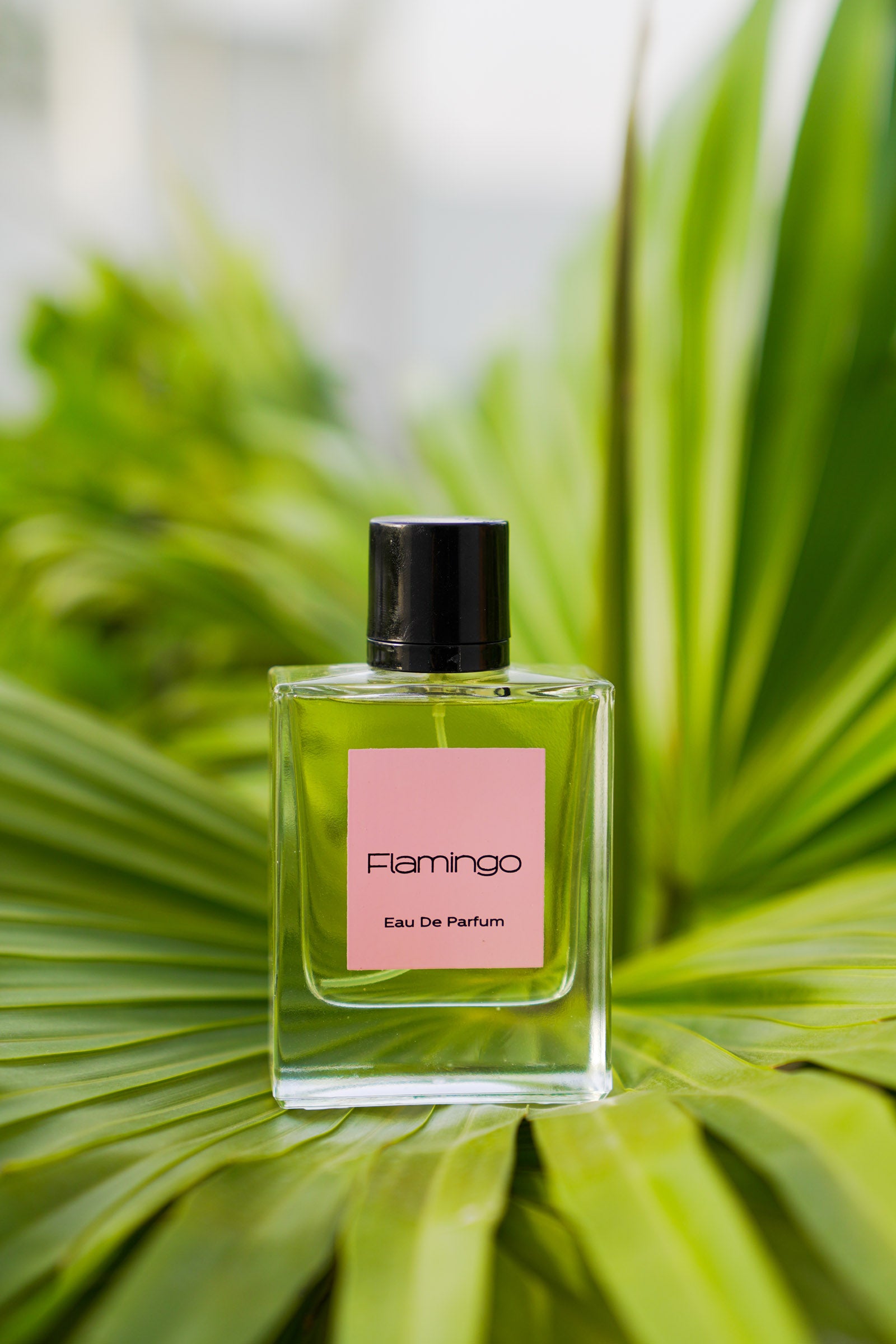 Flamingo Fragrance