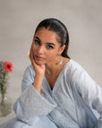 2 Piece Embroidered Lawn Suit Pret SS - 25