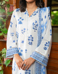 3 Piece Printed Lawn Suit Beena