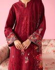 3 Piece Embroidered Lawn Suit Pret SS - 25