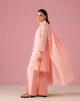 3 Piece Embroidered Organza Suit