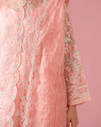 3 Piece Embroidered Organza Suit